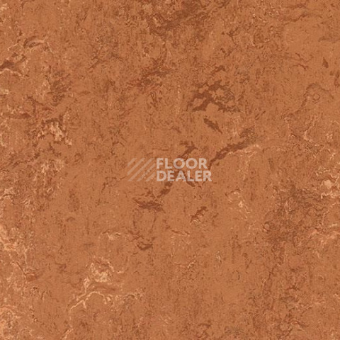 Линолеум Forbo Marmoleum Decibel on Order 276735 rust фото 1 | FLOORDEALER